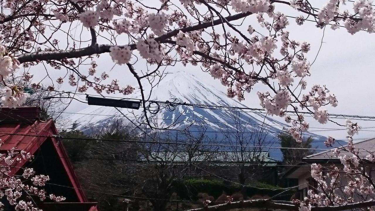 הוילה פוג'יקאוואגוצ'יקו Fuji Sakura House מראה חיצוני תמונה